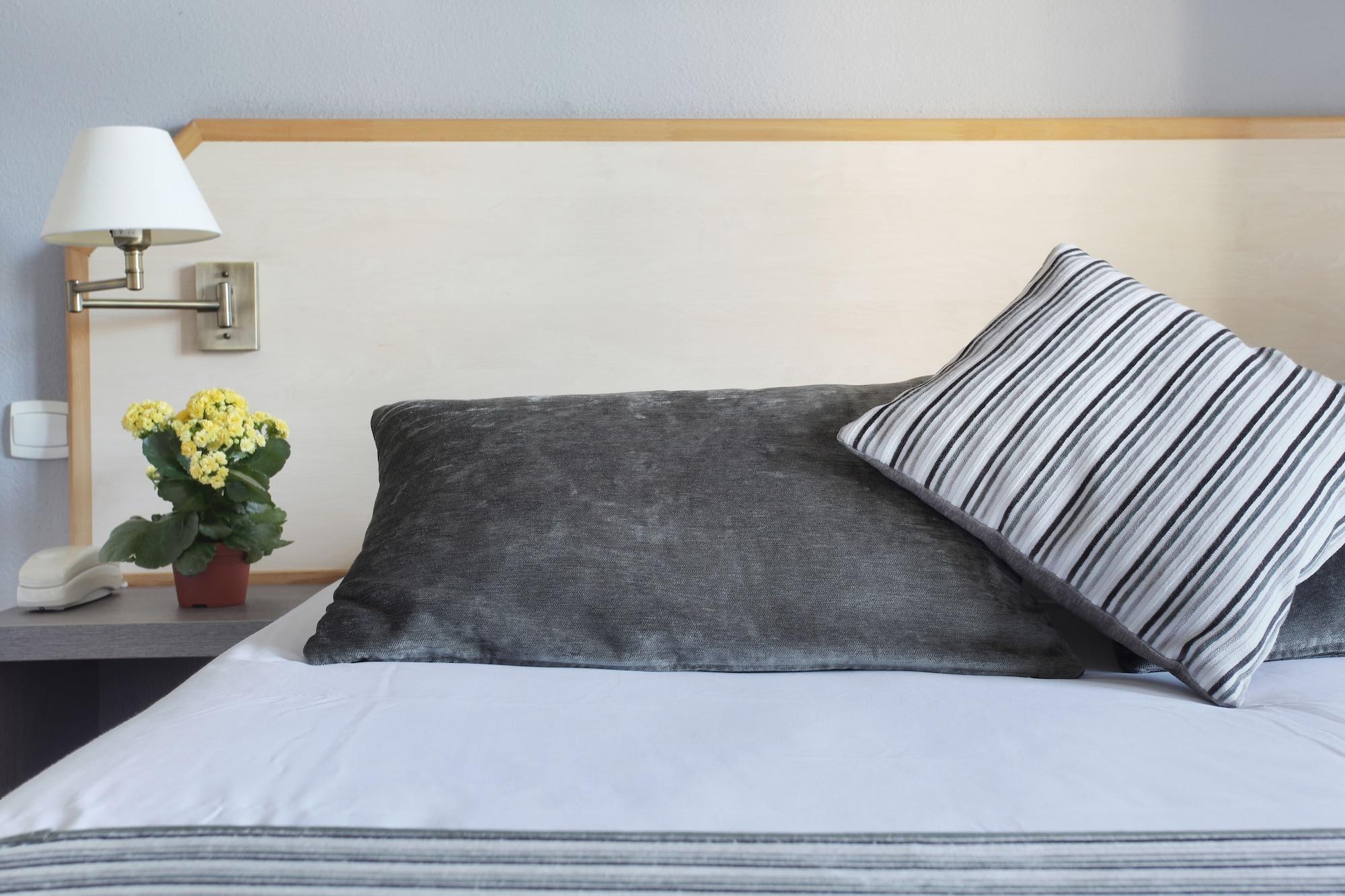 Hotel Logis Le Rodin 4*